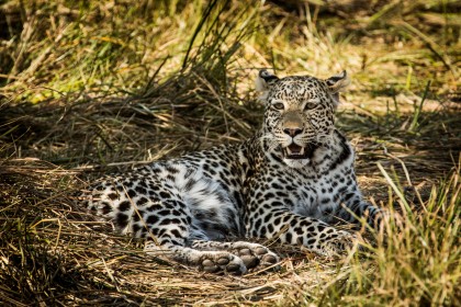 jedinečné safari v Africe s CK Grand Afrika