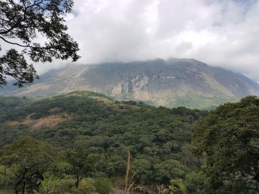 inspekční cesta do Malawi - výstup do pohoří Mulanje