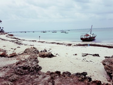 Zanzibar - inspekční cesta Pavlíny Rojík Fulnečkové